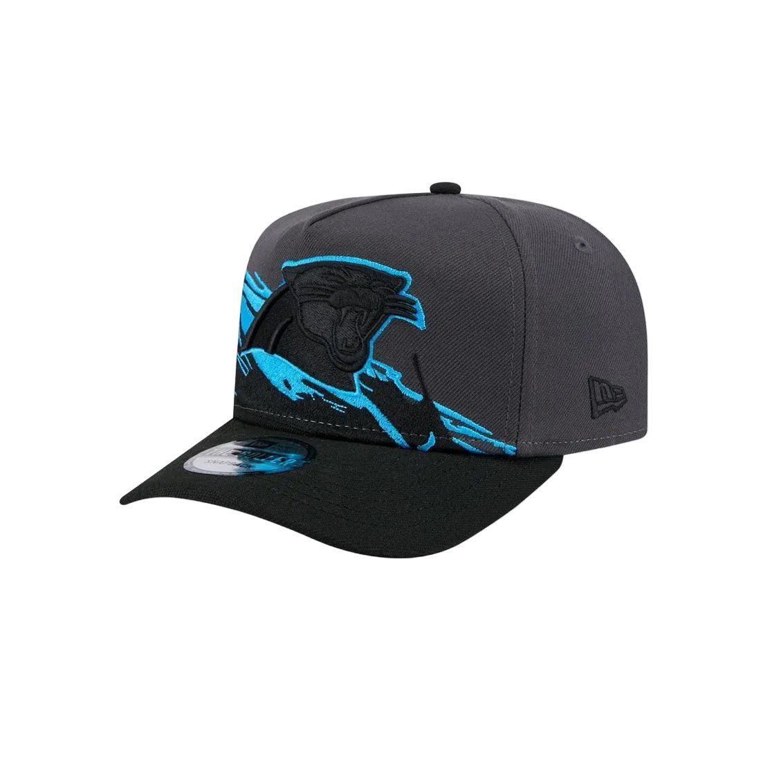 PANTHERS X SPLASH