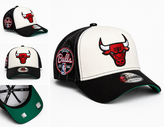 BULLS X 1966